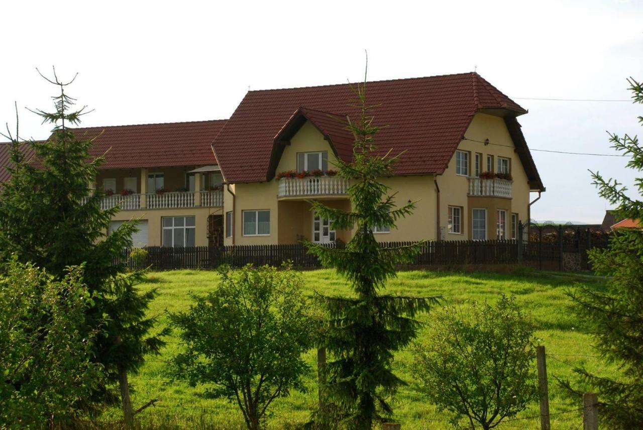 Margareta Vendeghaz Otel Lupeni  Dış mekan fotoğraf