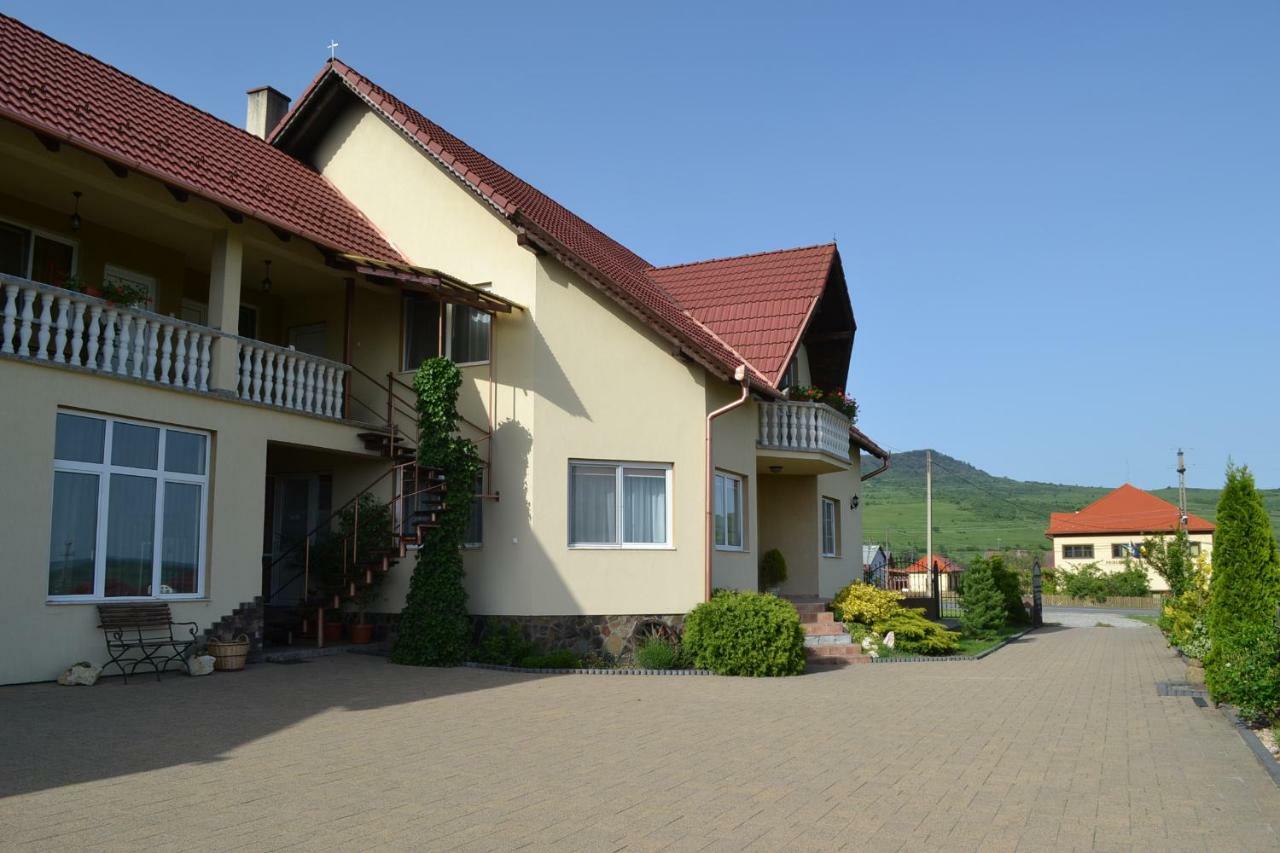 Margareta Vendeghaz Otel Lupeni  Dış mekan fotoğraf